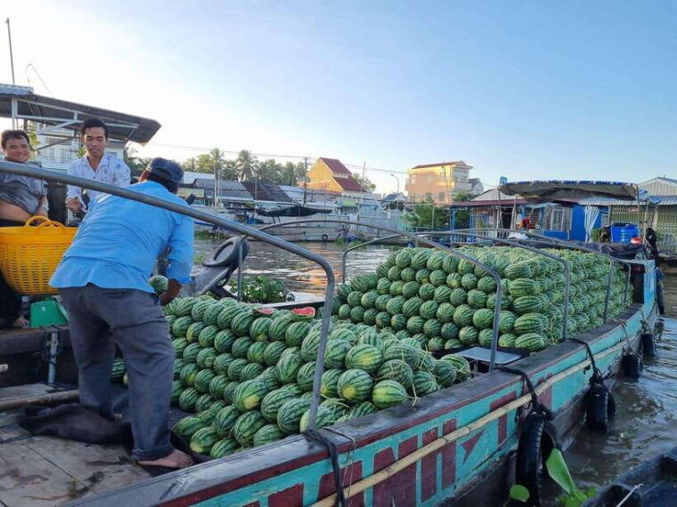 from-ho-chi-minhprivate-tour-mekong-2-days-w-5-stars-hotel
