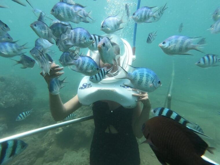 from-hoi-an-da-nang-swimming-snorkeling-in-cham-islands