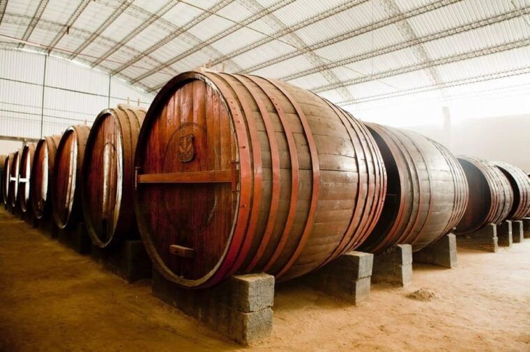 from-huacachina-ica-wine-and-pisco-vineyards-tasting-tour