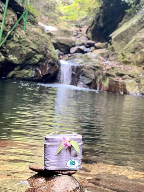 from-hue-bach-ma-national-park-tour-with-picnic-lunch