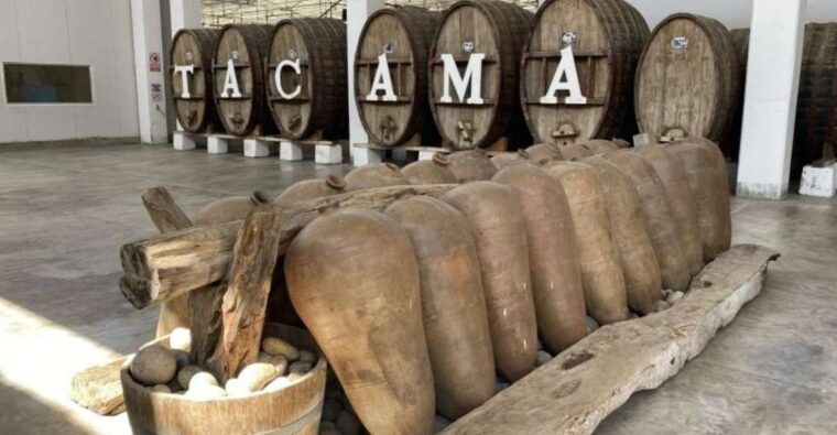 from-ica-tour-to-wine-and-pisco-vineyards-free-tasting