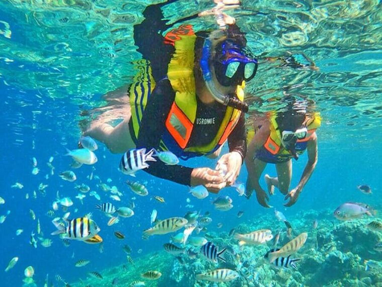 from-jakarta-private-tour-5-days-4-night-jakarta-explore