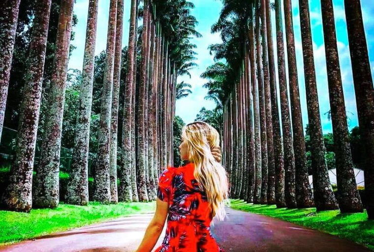 from-kandy-all-inclusive-full-day-tour-in-kandy-private