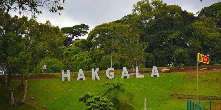 from-kandy-to-nuwara-eliya-drop-tour-private-tour