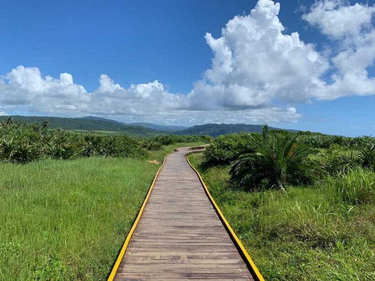 from-kaohsiung-kenting-ocean-coast-private-day-tour