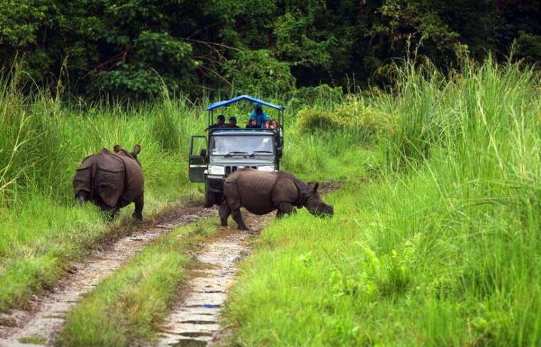 from-kathmandu-pokhara-2-3-or-4-day-chitwan-jungle-safari