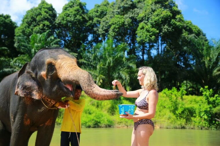 from-khao-lak-day-trip-to-khao-sok-with-elephant-camp-visit