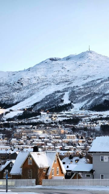 from-kiruna-narvik-city-and-fjord-day-trip