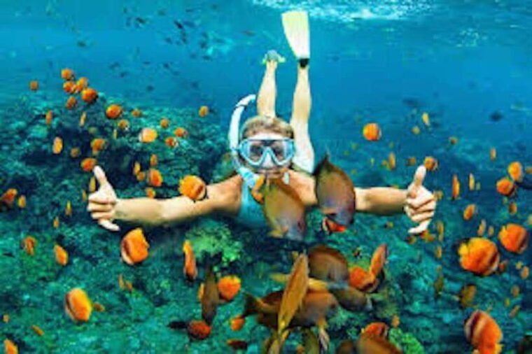 from-koh-lipe-best-snorkeling-trip