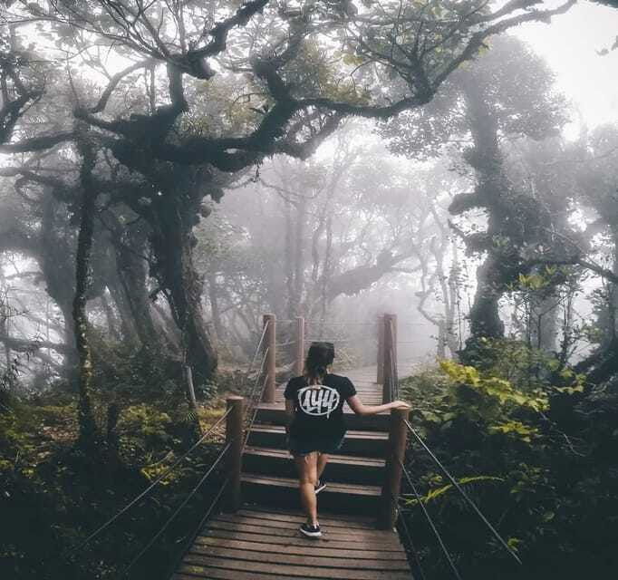 from-kuala-lumpur-cameron-highlands-day-trip-with-transfers