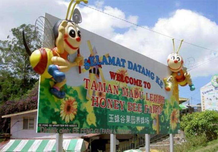 from-kuala-lumpur-cameron-highlands-private-or-join-in-tour