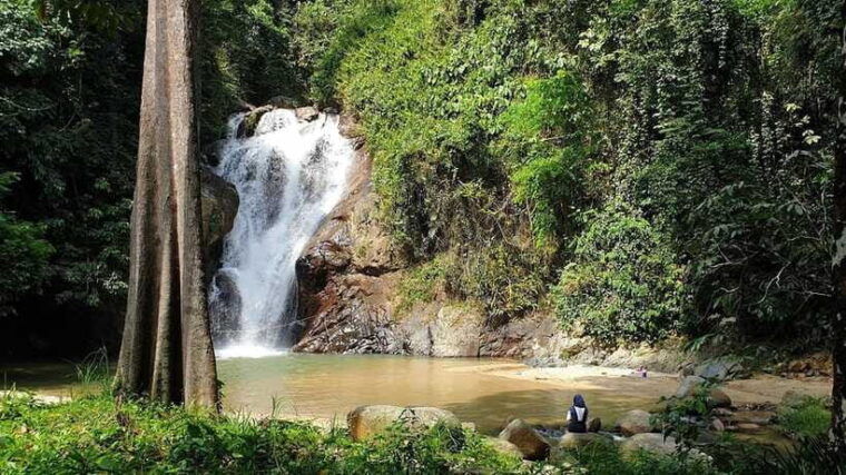 from-kuala-lumpur-elephant-sanctuary-guided-tour