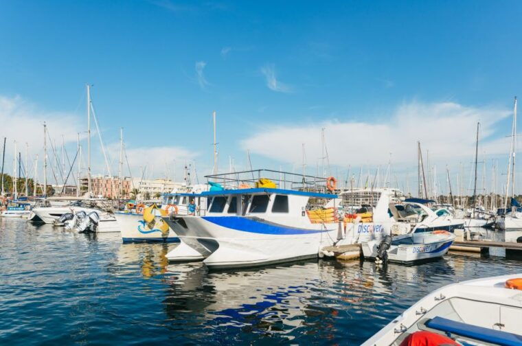from-lagos-kayaking-and-boat-cave-explorer-tour