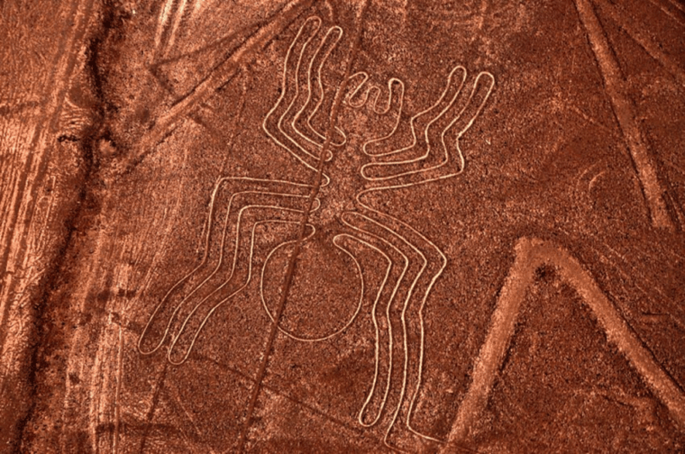 from-lima-ballestas-islands-nazca-line-and-ica-tour-1-day
