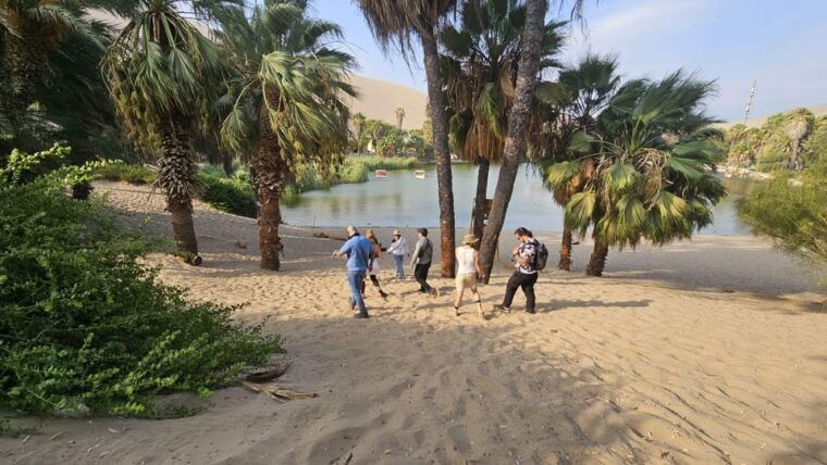 from-lima-ballestas-vineyard-and-oasis-huacachina-economic