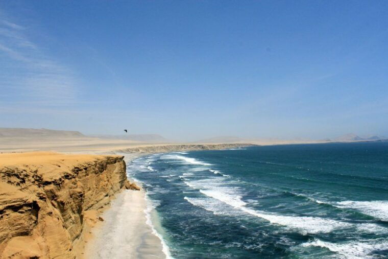 from-lima-paracas-reserve-ballestas-islands-private-trip