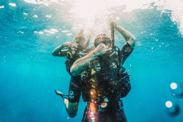 from-lombok-private-gili-islands-trip-w-glass-bottom-boat
