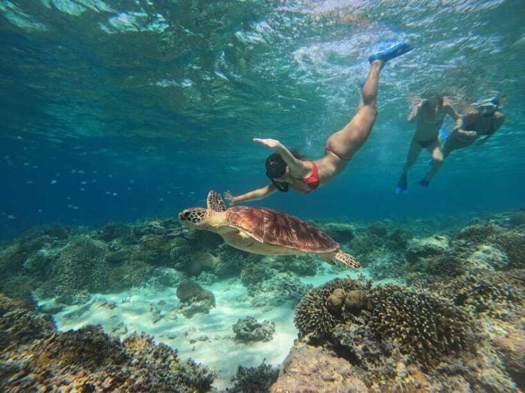 from-lombok-private-snorkeling-trip-include-gopro-shoot