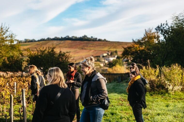 from-lyon-beaujolais-region-wine-tour-with-tastings