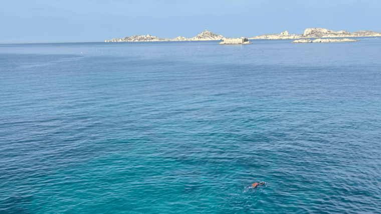 from-marseille-to-cassis-a-journey-to-the-heart-of-the-calanques-and-traditions