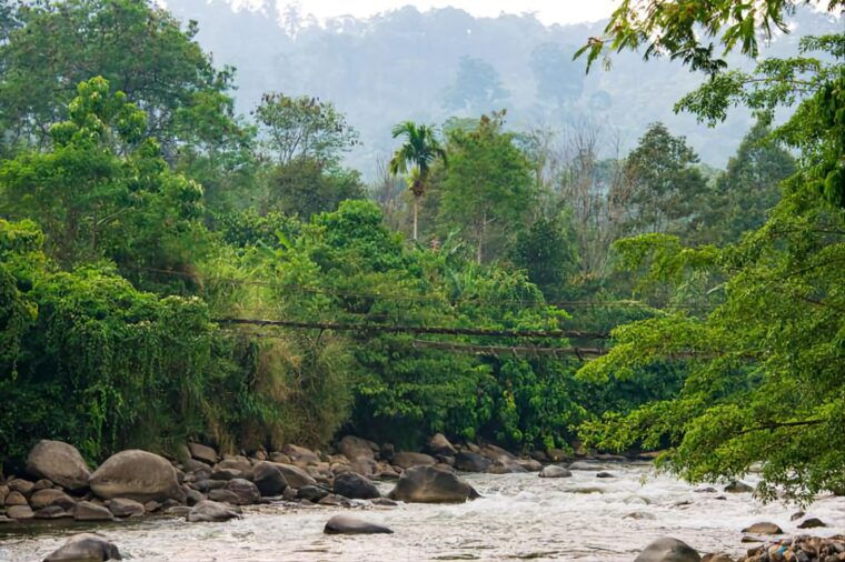 from-medan-mount-leuser-national-park-full-day-trip-2
