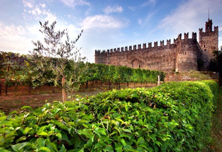 from-milan-full-day-in-franciacorta-2-wineries-lunch
