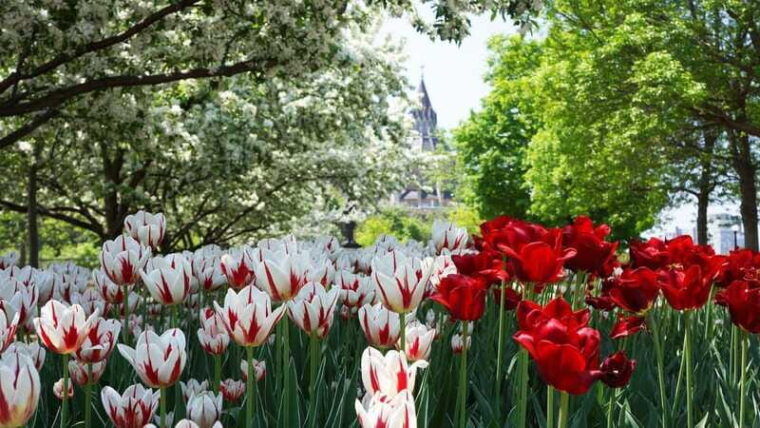 from-montreal-private-ottawa-full-day-tour
