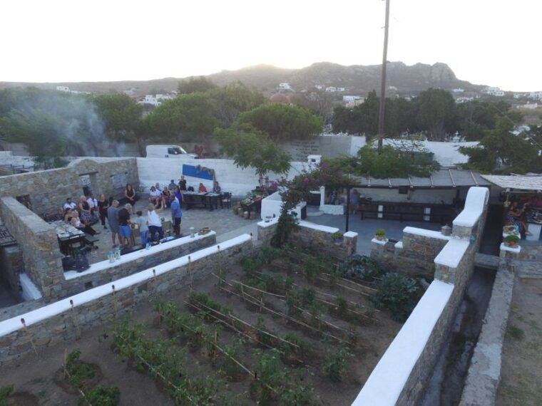 from-mykonos-ano-mera-farm-tour