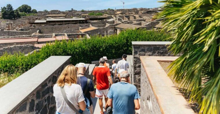 from-naples-pompeii-ruins-mount-vesuvius-day-tour