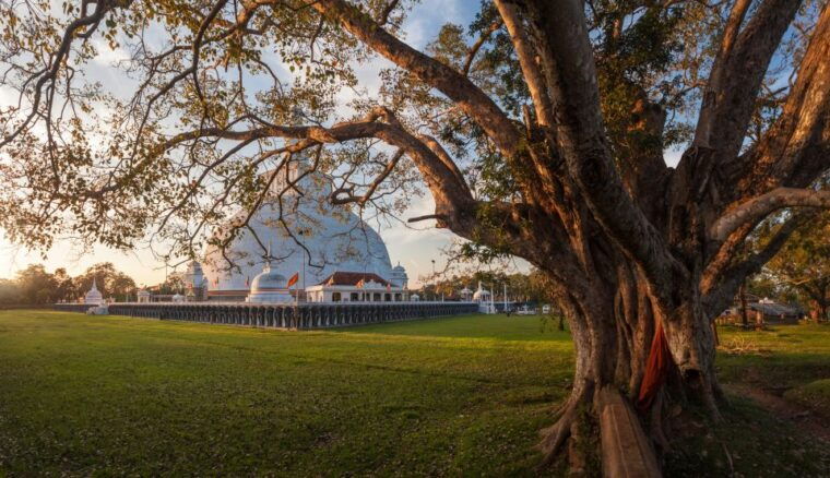 from-negombo-full-day-unesco-city-of-anuradhapura-trip