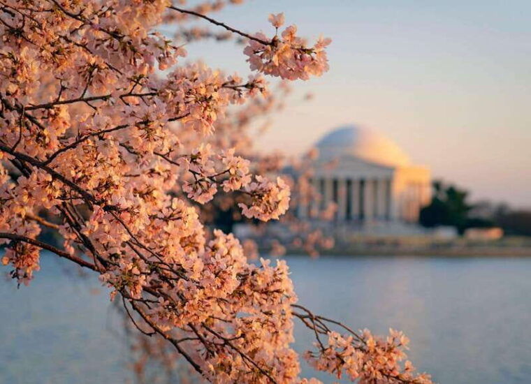 from-new-york-7-day-guided-east-coast-cities-sites-tour-2