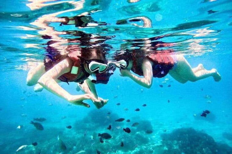 from-nha-trang-luxury-3-island-tour-with-lunch