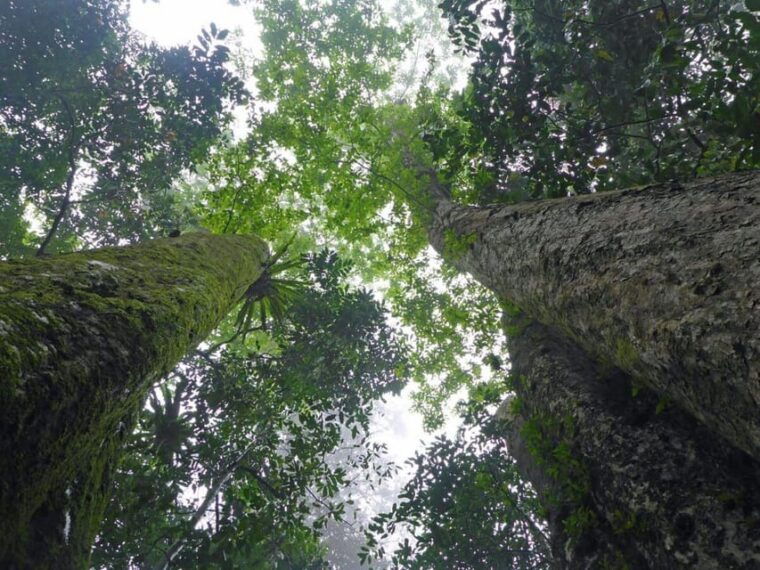 from-ninh-binh-cuc-phuong-national-park-guided-tour-lunch