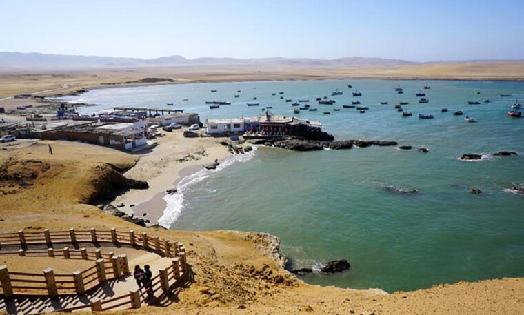 from-paracas-ballestas-islands-and-paracas-national-reserve-3
