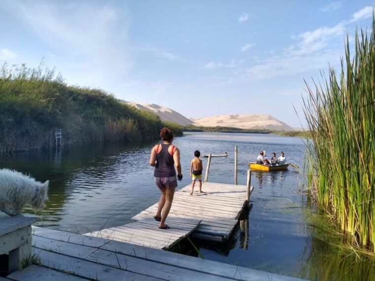 from-paracas-mini-buggy-tour-sandboarding-at-oasis