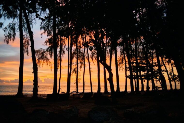 from-phuket-customizable-khao-lak-phang-nga-tour-full-day