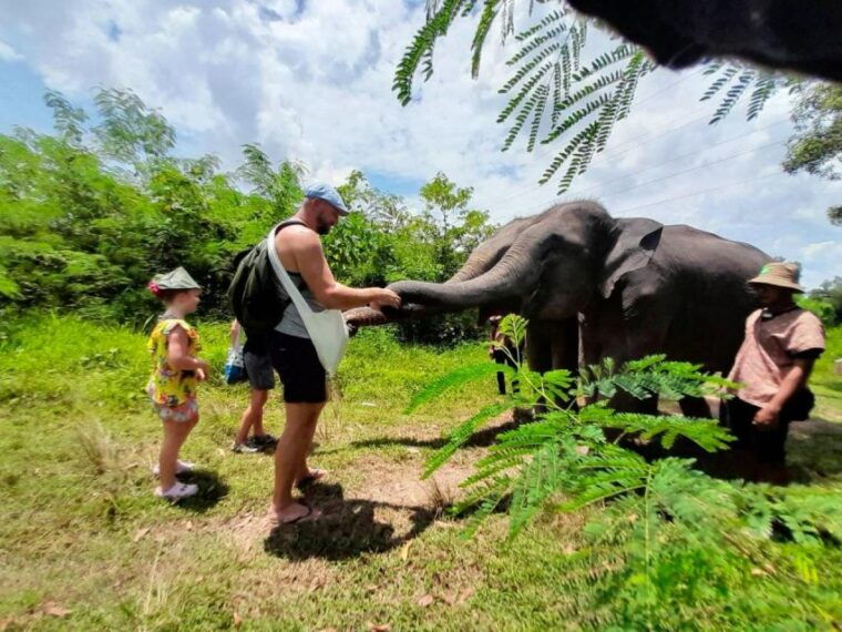 from-phuket-ethical-elephant-interactive-trek-and-tour