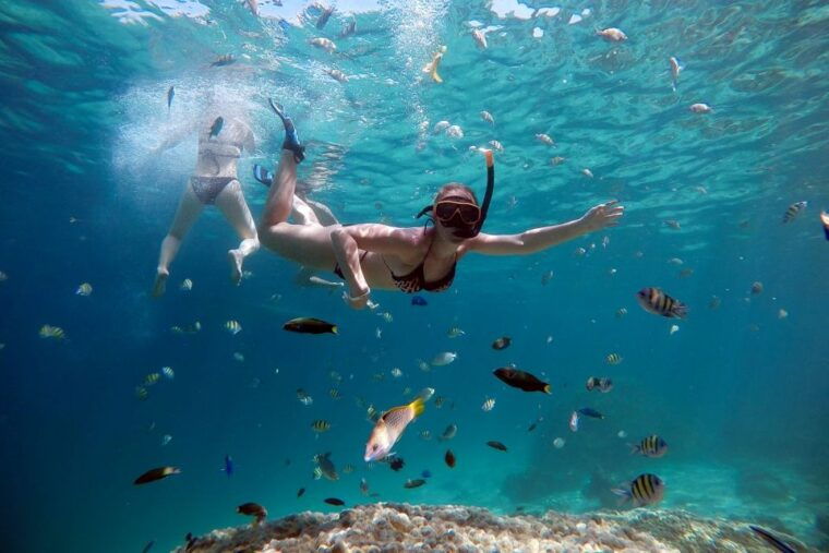 from-phuket-phi-phi-and-maya-bay-snorkeling-by-speedboat