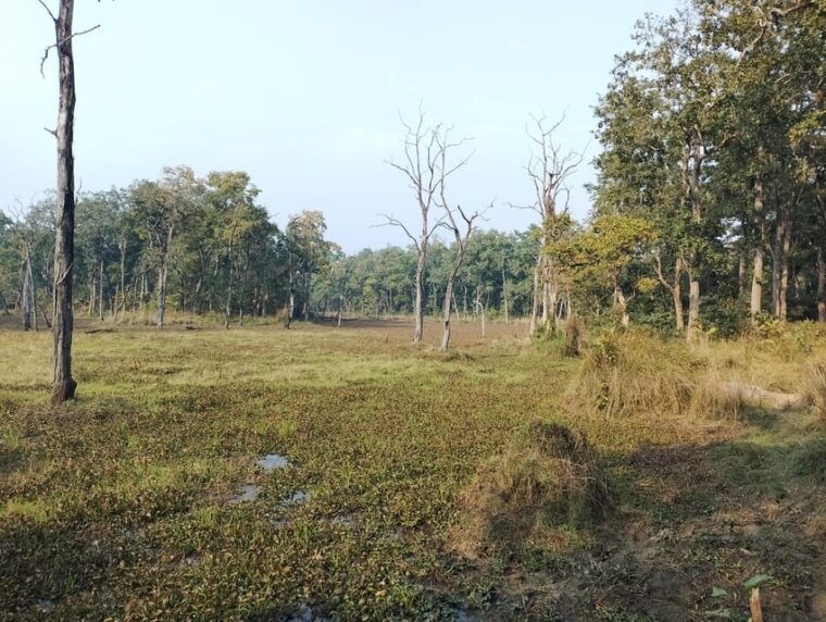 from-pokhara-3-day-2-night-wildlife-chitwan-tour-package
