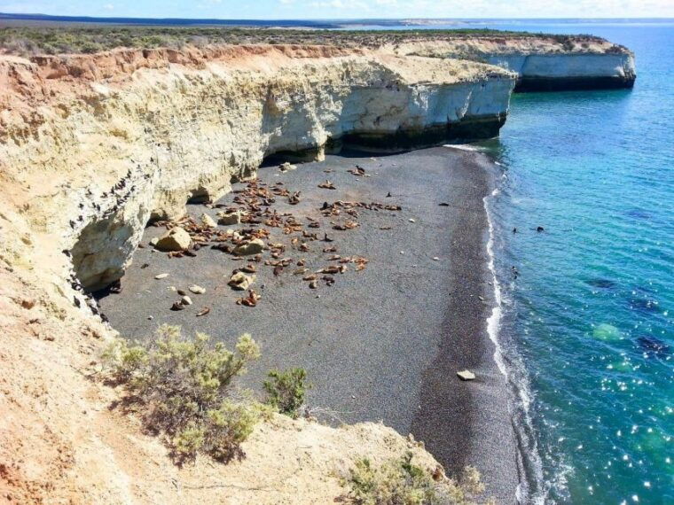 from-puerto-madryn-city-and-punta-loma-tour