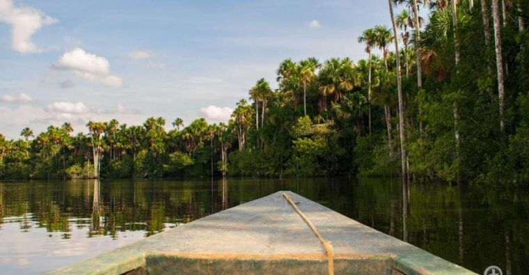 from-puerto-maldonado-jungle-trekking-sandoval-lake