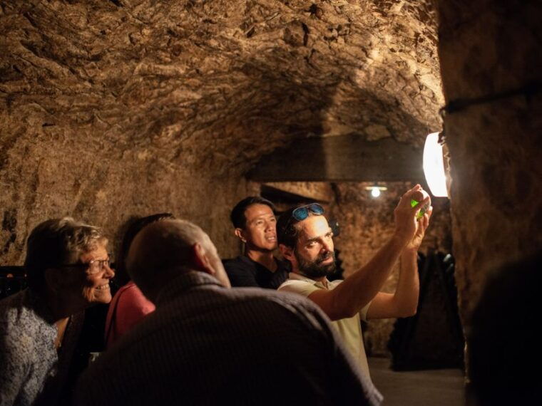 from-reims-champagne-and-family-run-wineries-tour