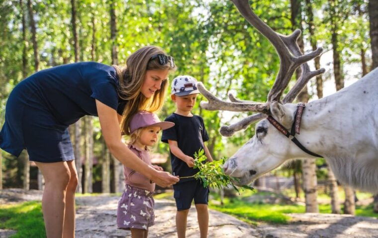 from-rovaniemi-reindeer-farm-visit-with-sleigh-ride