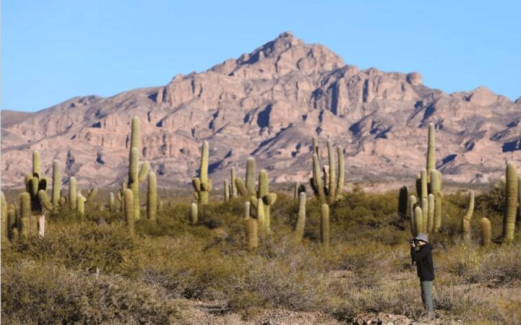 from-salta-full-day-excursions-through-cachi-and-humahuaca