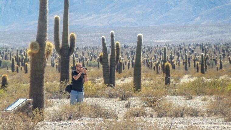 from-salta-full-day-scenic-tour-to-cachi