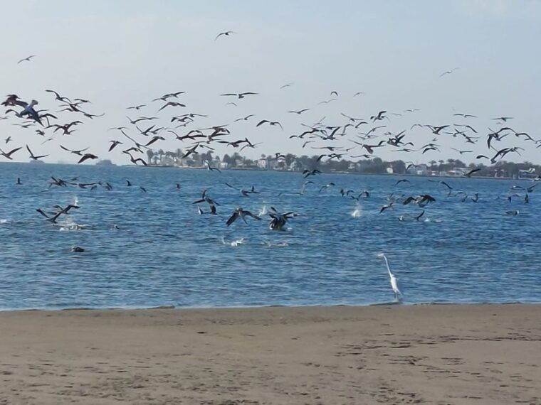 from-san-martin-port-ballestas-island-paracas-reserve