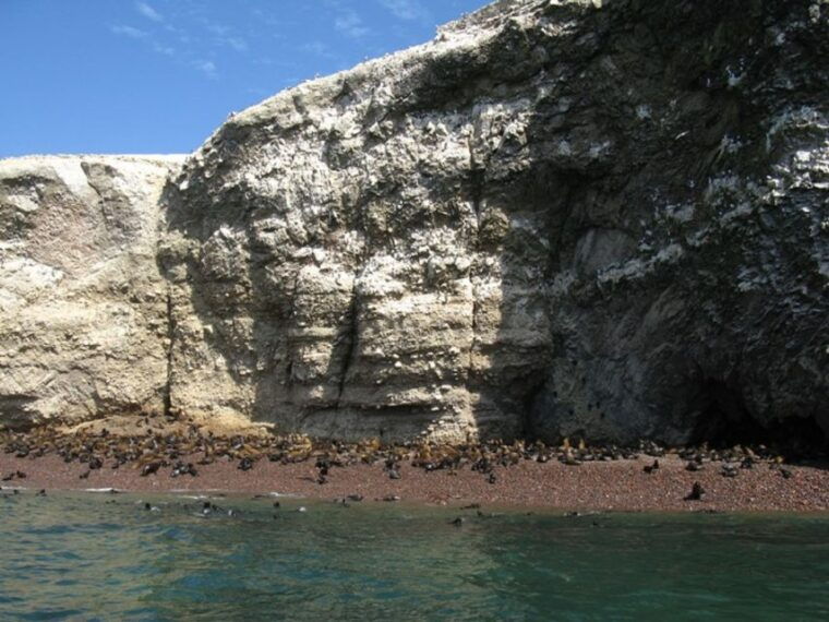 from-san-martin-port-ballestas-islands-tour-in-paracas