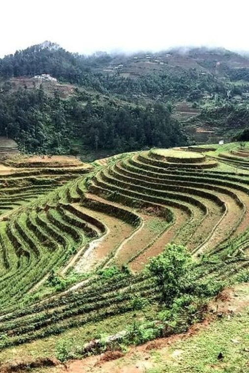 from-sapa-suoi-ho-lu-khau-and-xa-xeng-villages-1-day-trek