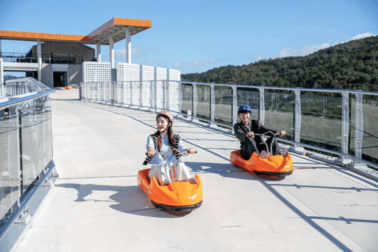 from-seoul-alpaca-farm-with-rail-bike-luge-racing