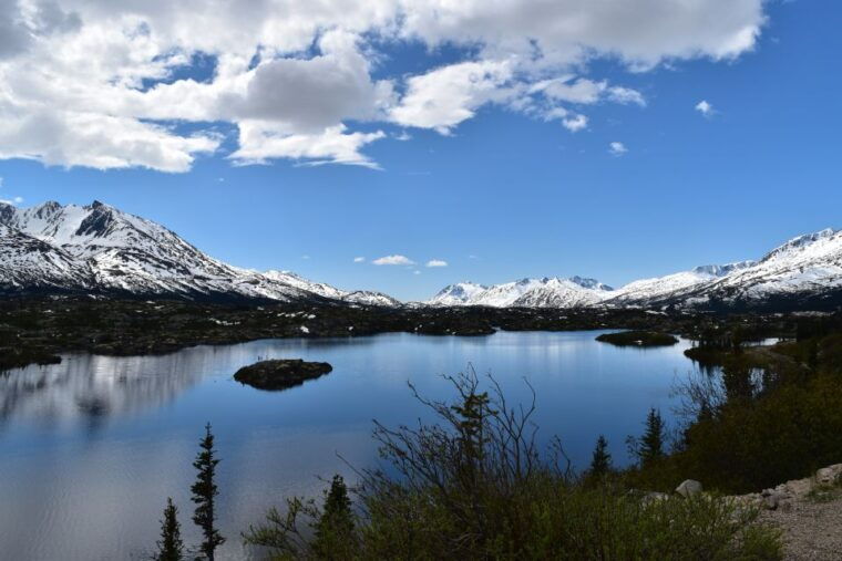 from-skagway-white-pass-summit-guided-bus-tour
